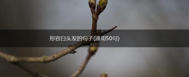 形容白头发的句子(通用50句),第1张