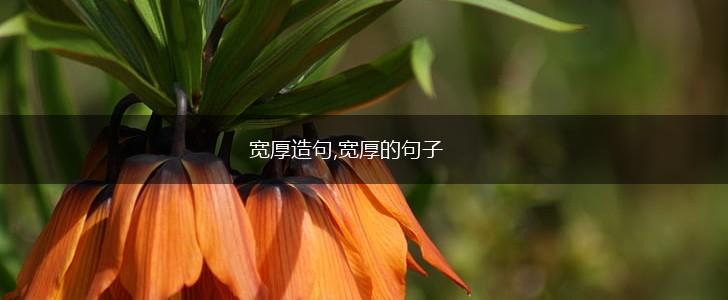 宽厚造句,宽厚的句子,第1张