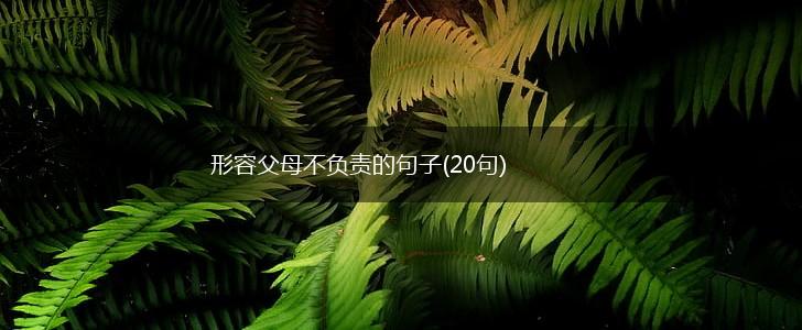 形容父母不负责的句子(20句),第1张