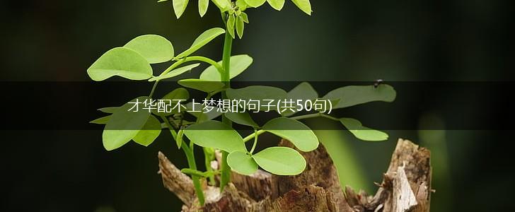 才华配不上梦想的句子(共50句),第1张