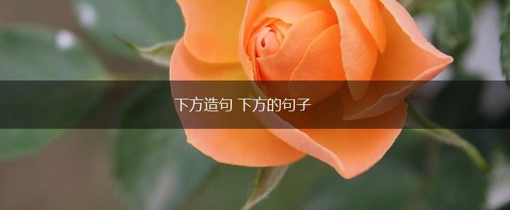 下方造句 下方的句子,第1张