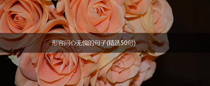 形容问心无愧的句子(精选50句),第1张