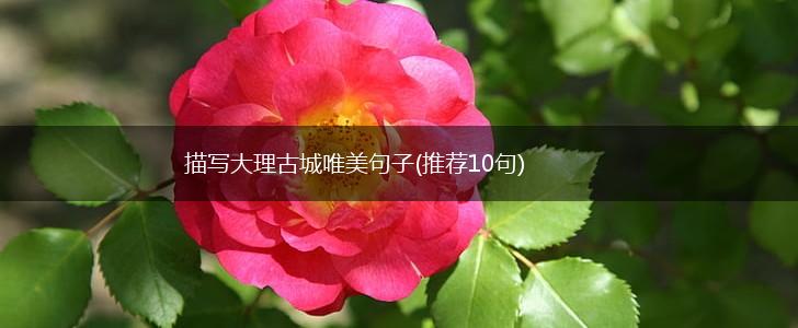 描写大理古城唯美句子(推荐10句),第1张