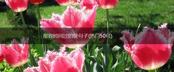 形容时间过的快句子(热门50句),第1张