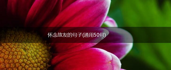 怀念故友的句子(通用50句),第1张