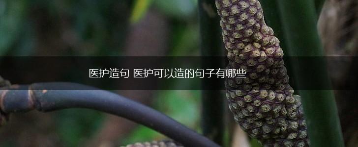医护造句 医护可以造的句子有哪些,第1张