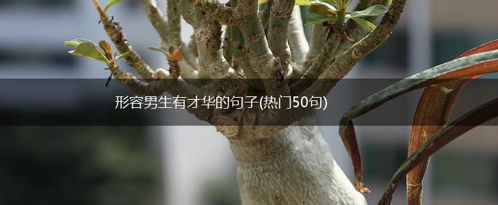 形容男生有才华的句子(热门50句),第1张