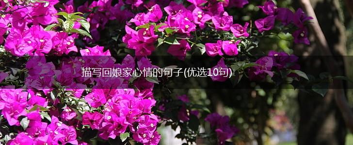 描写回娘家心情的句子(优选10句),第1张