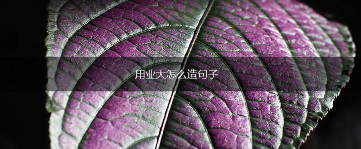 用业大怎么造句子,第1张