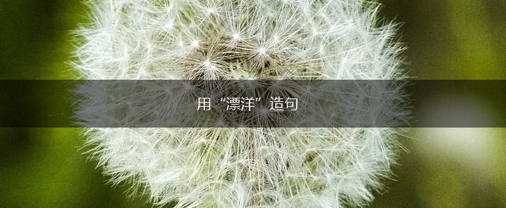 用“漂洋”造句,第1张