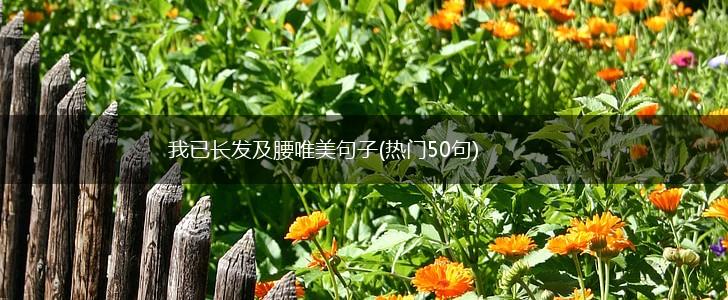 我已长发及腰唯美句子(热门50句),第1张