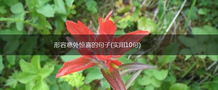 形容意外惊喜的句子(实用10句),第1张