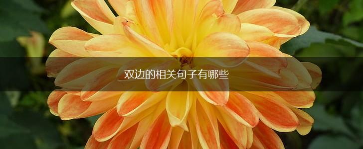 双边的相关句子有哪些,第1张