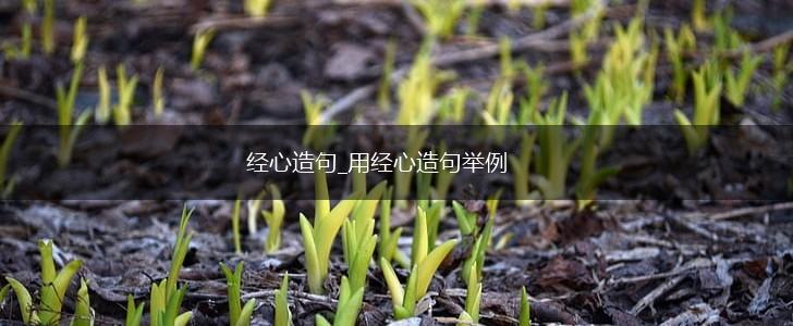 经心造句_用经心造句举例,第1张