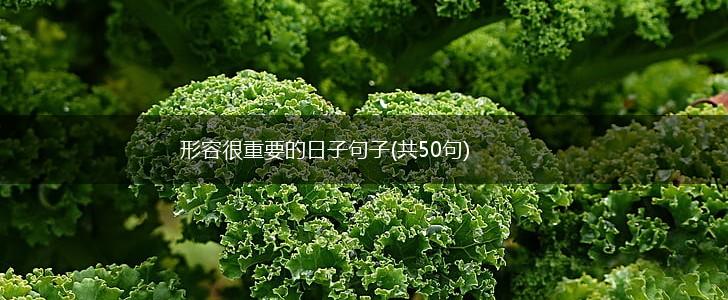 形容很重要的日子句子(共50句),第1张