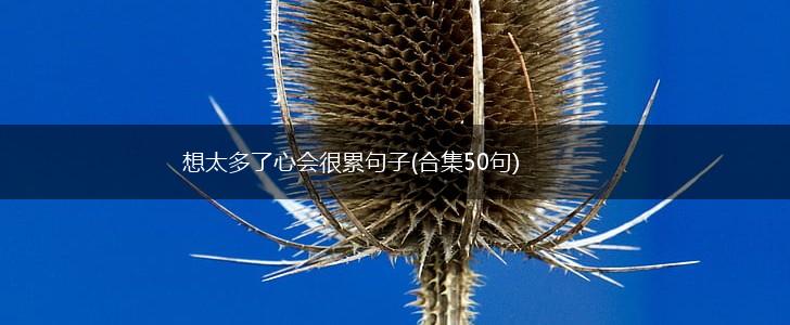 想太多了心会很累句子(合集50句),第1张