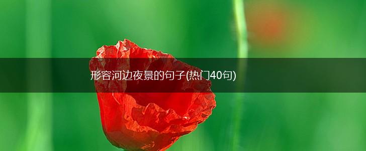 形容河边夜景的句子(热门40句),第1张