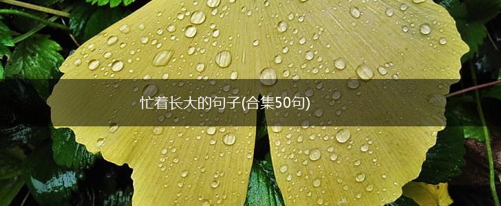 忙着长大的句子(合集50句),第1张
