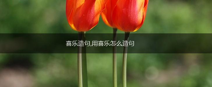 喜乐造句,用喜乐怎么造句,第1张