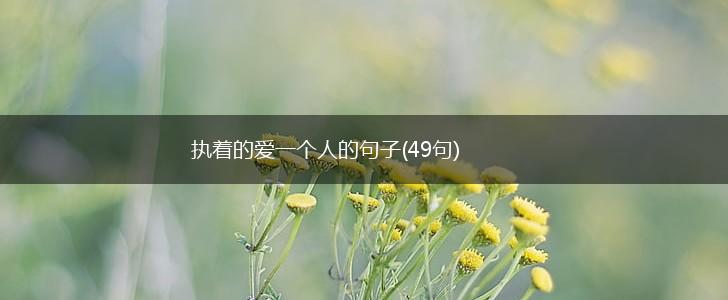 执着的爱一个人的句子(49句),第1张