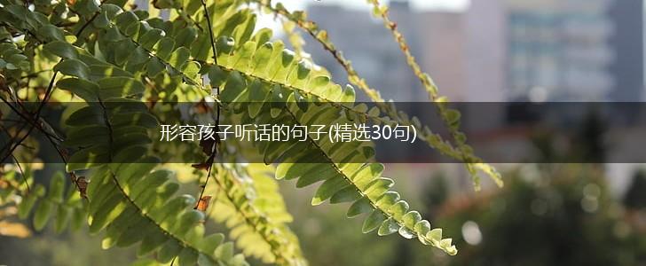 形容孩子听话的句子(精选30句),第1张