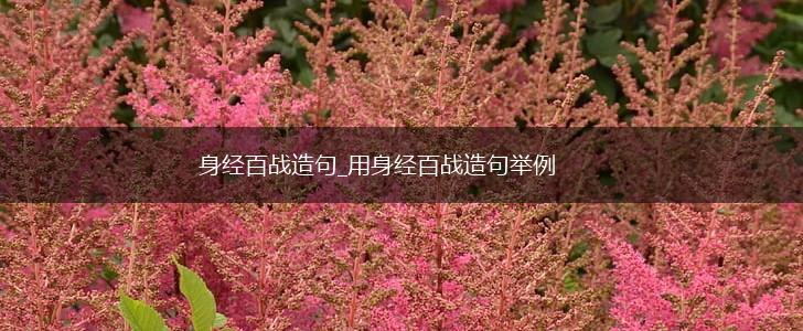 身经百战造句_用身经百战造句举例,第1张