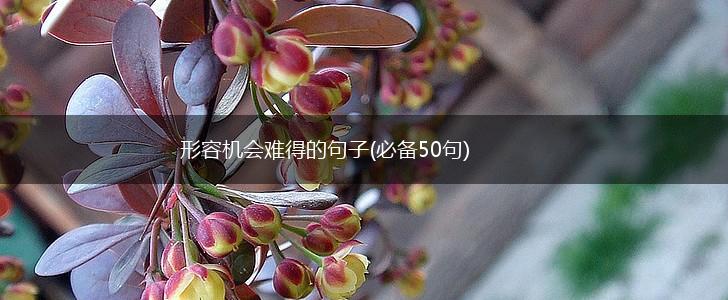 形容机会难得的句子(必备50句),第1张