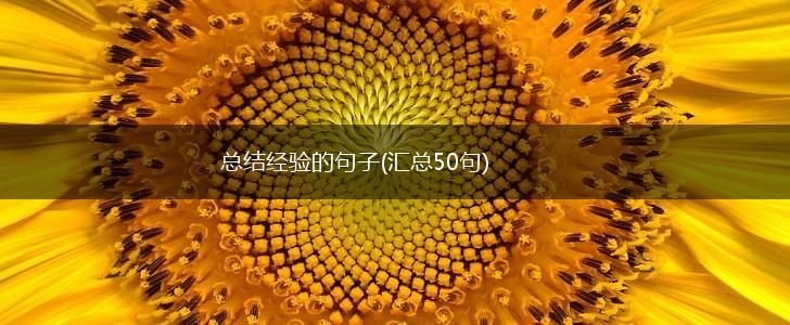 总结经验的句子(汇总50句),第1张