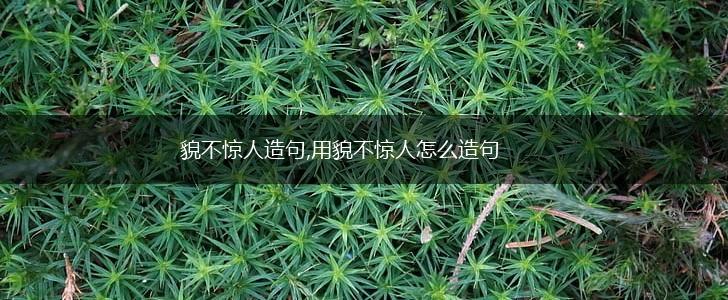 貌不惊人造句,用貌不惊人怎么造句,第1张