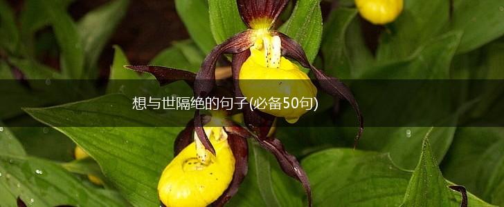 想与世隔绝的句子(必备50句),第1张