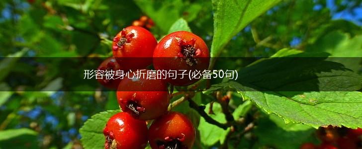 形容被身心折磨的句子(必备50句),第1张