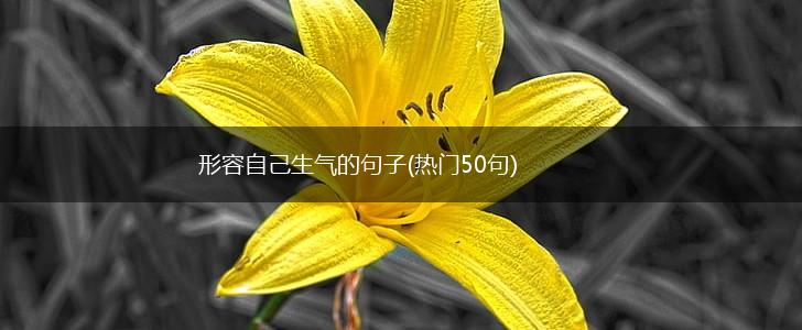 形容自己生气的句子(热门50句),第1张