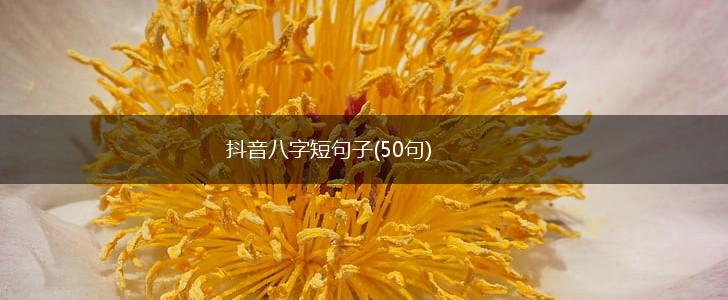 抖音八字短句子(50句),第1张