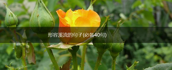 形容溪流的句子(必备40句),第1张