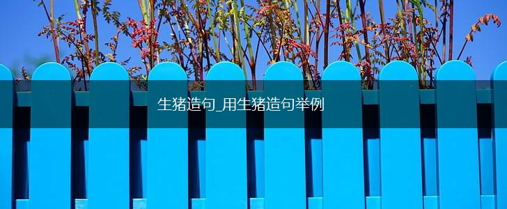 生猪造句_用生猪造句举例,第1张