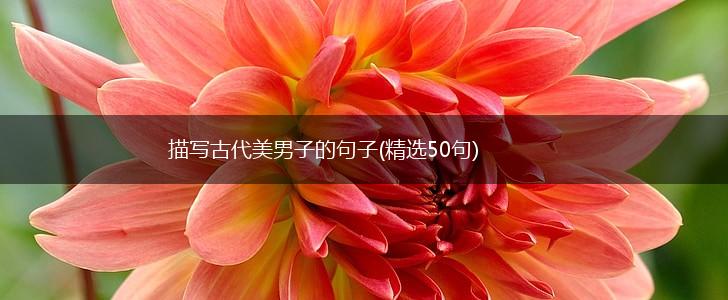 描写古代美男子的句子(精选50句),第1张