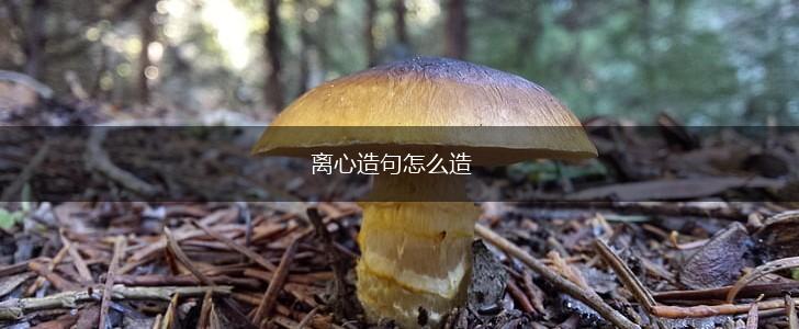 离心造句怎么造,第1张