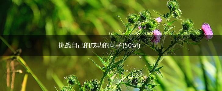 挑战自己的成功的句子(50句),第1张