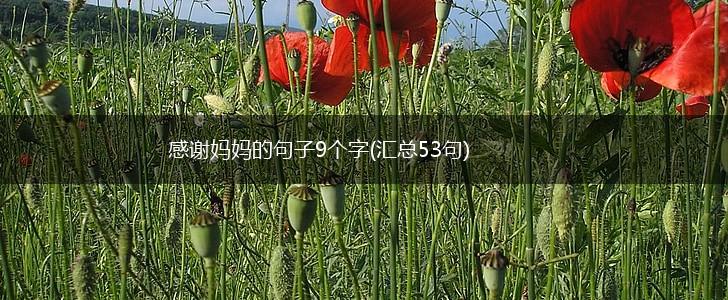 感谢妈妈的句子9个字(汇总53句),第1张