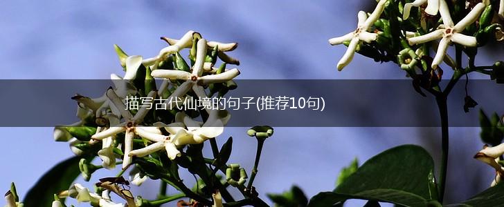 描写古代仙境的句子(推荐10句),第1张