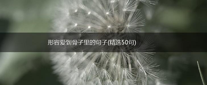 形容爱到骨子里的句子(精选50句),第1张