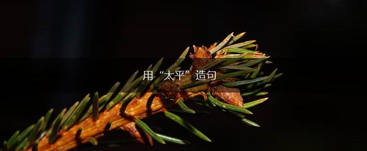 用“太平”造句,第1张