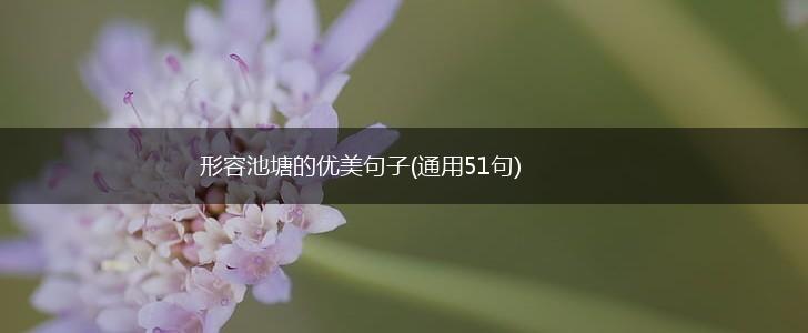 形容池塘的优美句子(通用51句),第1张