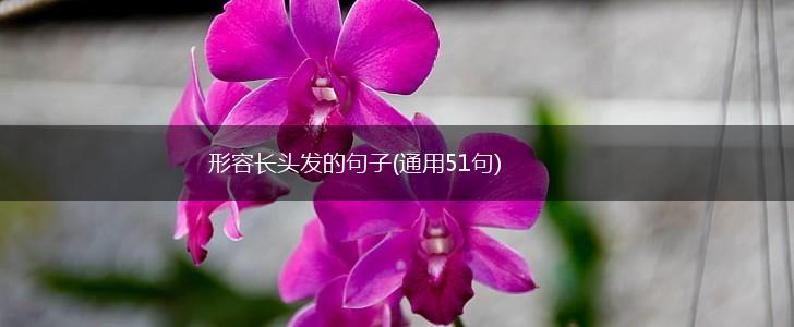 形容长头发的句子(通用51句),第1张