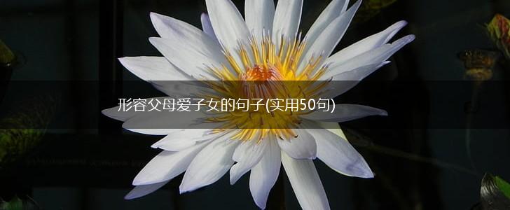 形容父母爱子女的句子(实用50句),第1张