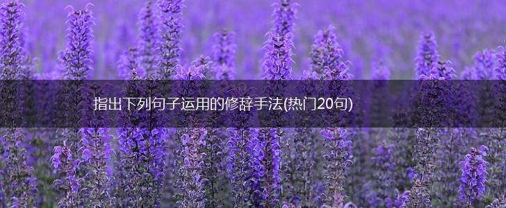 指出下列句子运用的修辞手法(热门20句),第1张