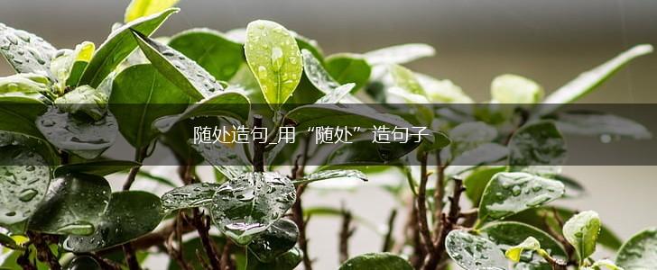 随处造句_用“随处”造句子,第1张