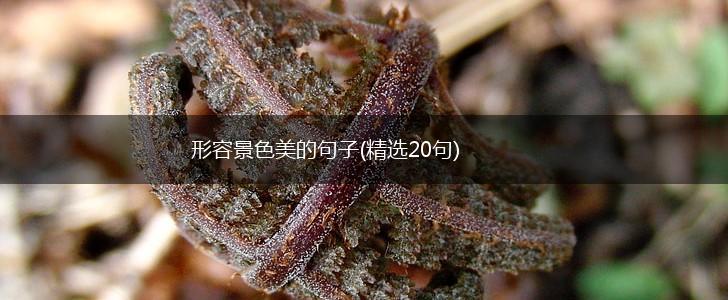 形容景色美的句子(精选20句),第1张