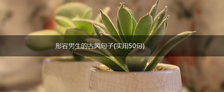 形容男生的古风句子(实用50句),第1张