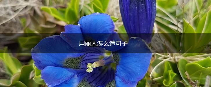 用丽人怎么造句子,第1张